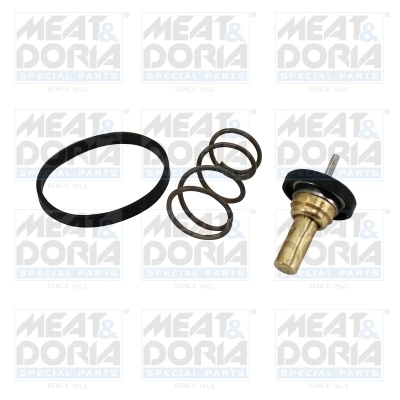 Thermostat, coolant